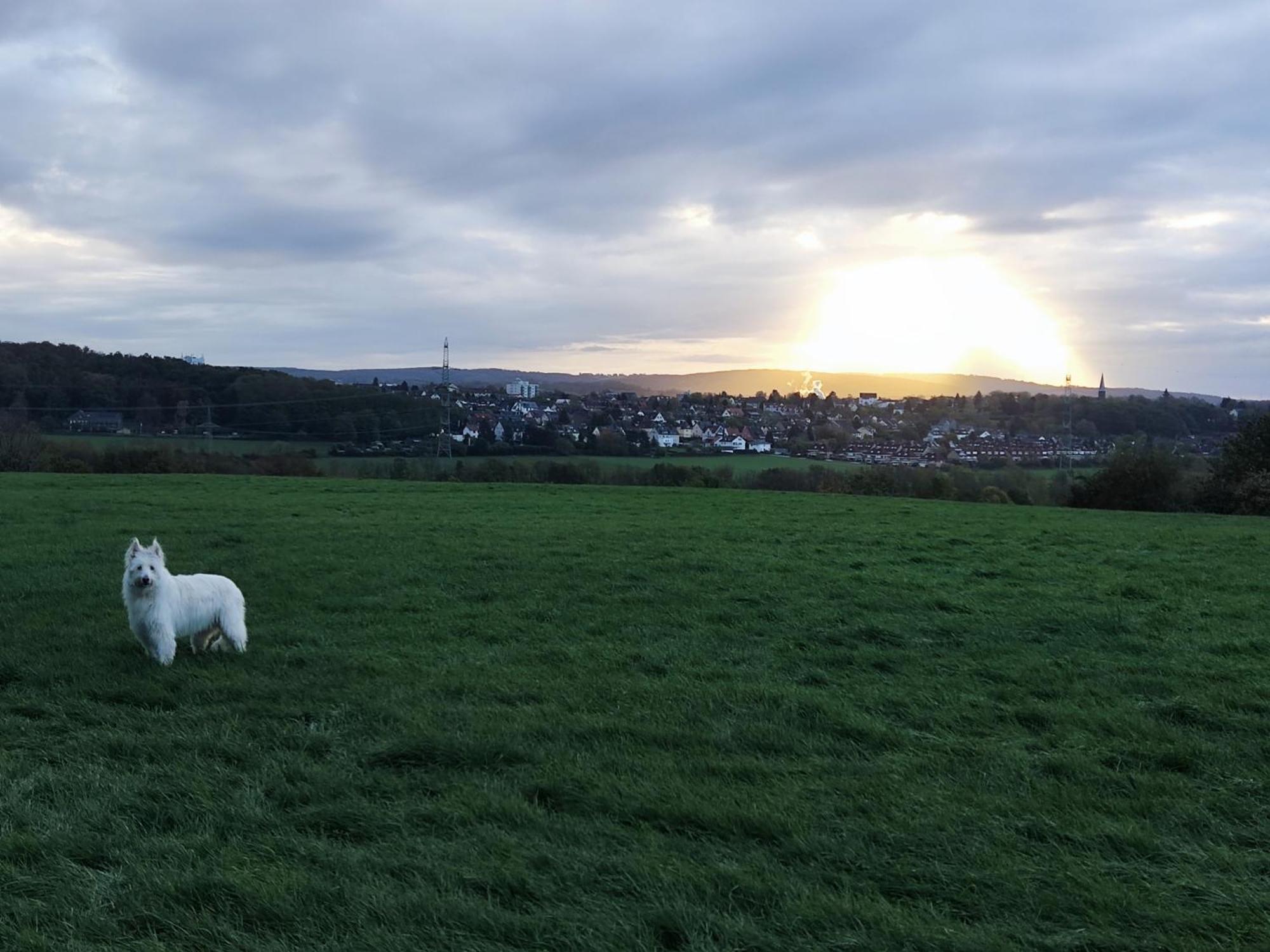 Gruene Oase Nr.2, Nahe Uni Und Technologie Quartier Lejlighed Bochum Eksteriør billede